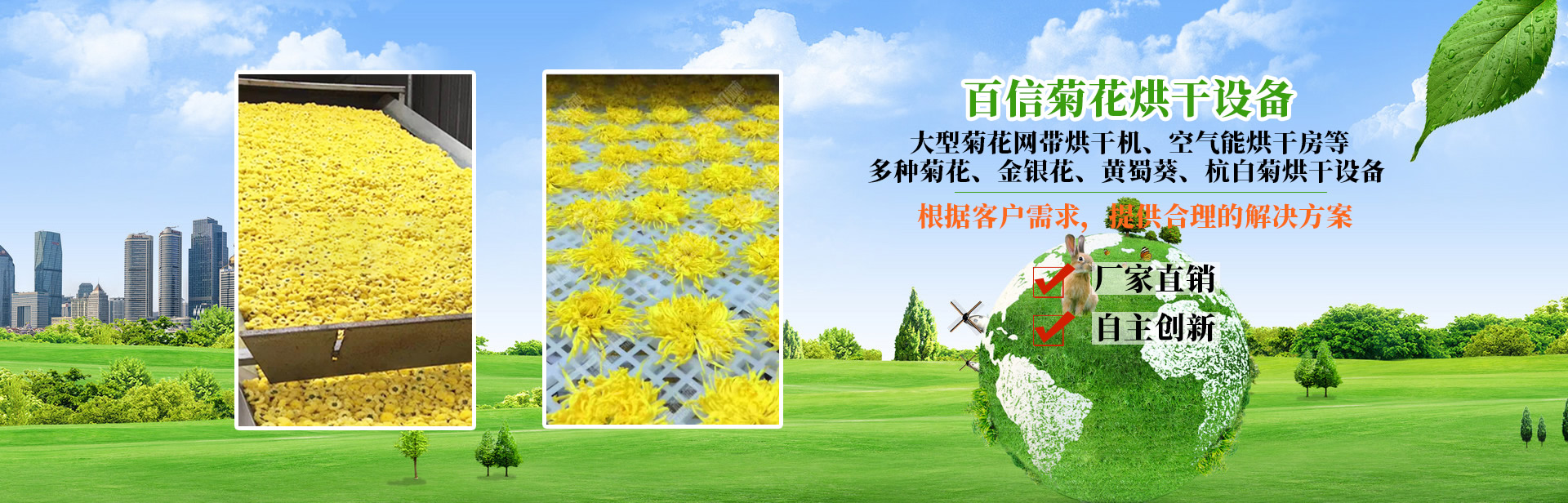 菊花烘干機